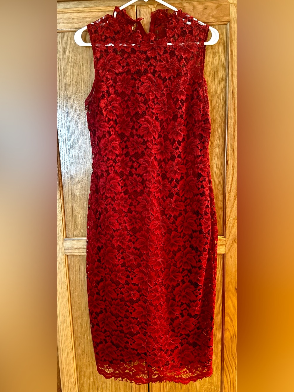 ENFOCUS Burgundy Lace Sleeveless Dress